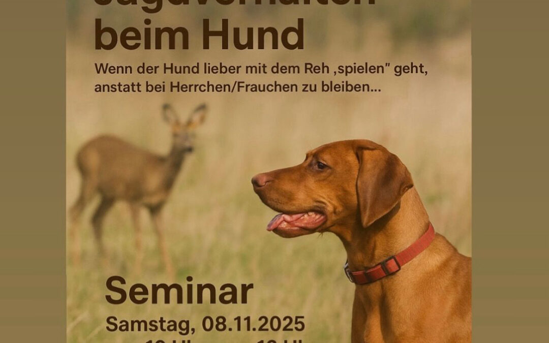Seminar: Jagdverhalten beim Hund