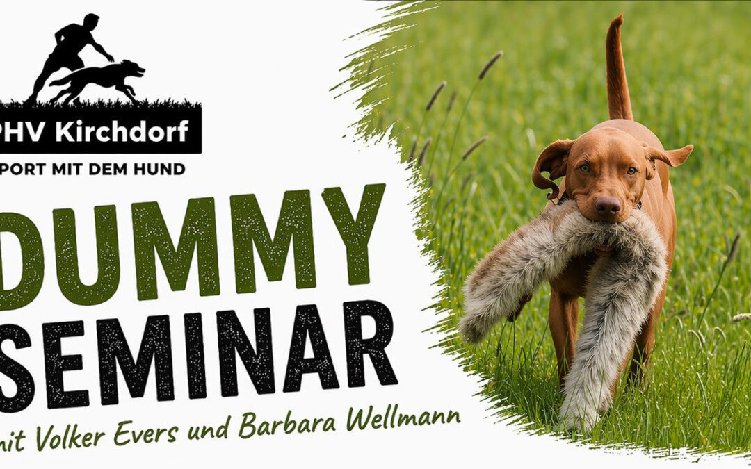 Dummy-Seminar beim PHV Kirchdorf – Gemeinsam arbeiten, sinnvoll auslasten