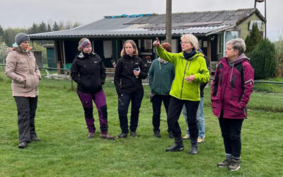 🐾 Rückblick Longierseminar 🐾